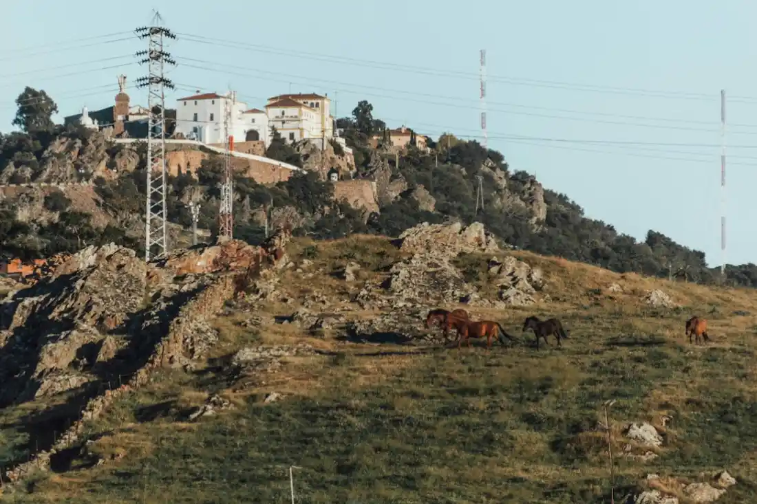 Calles y comercios de Cáceres donde trabajan pymes y autónomos