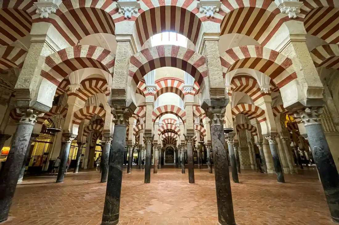 Ambiente local de Córdoba y su actividad económica