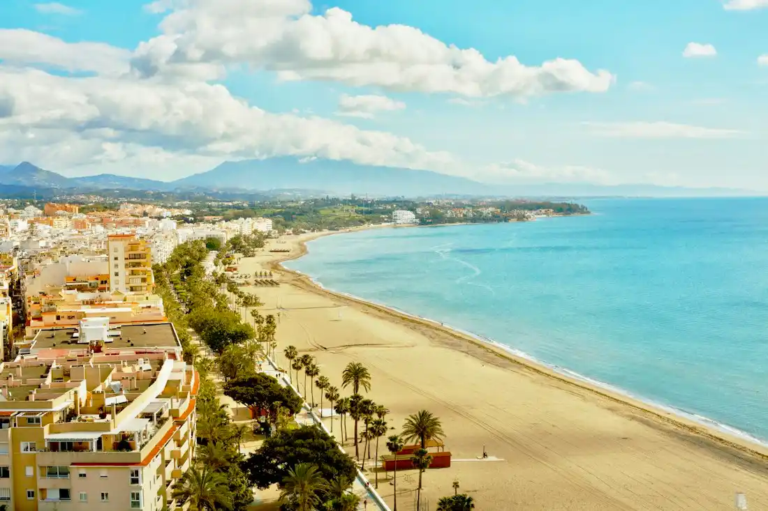 Ambiente local de Estepona y su actividad económica