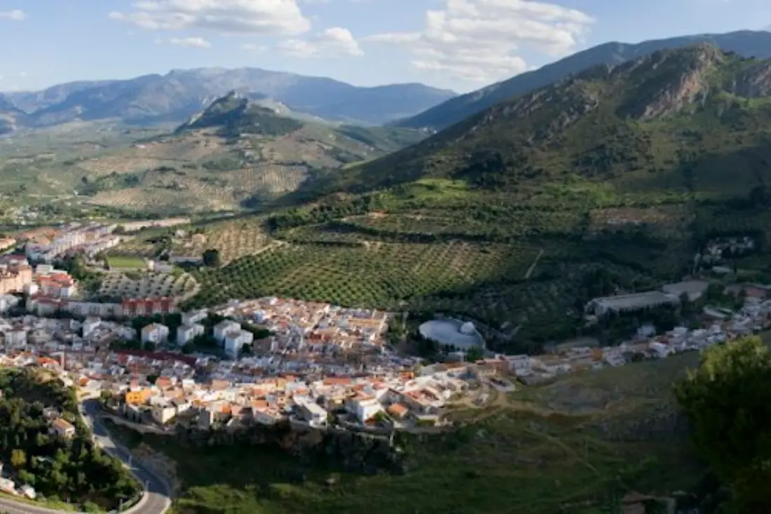 Calles y comercios de Jaén donde trabajan pymes y autónomos