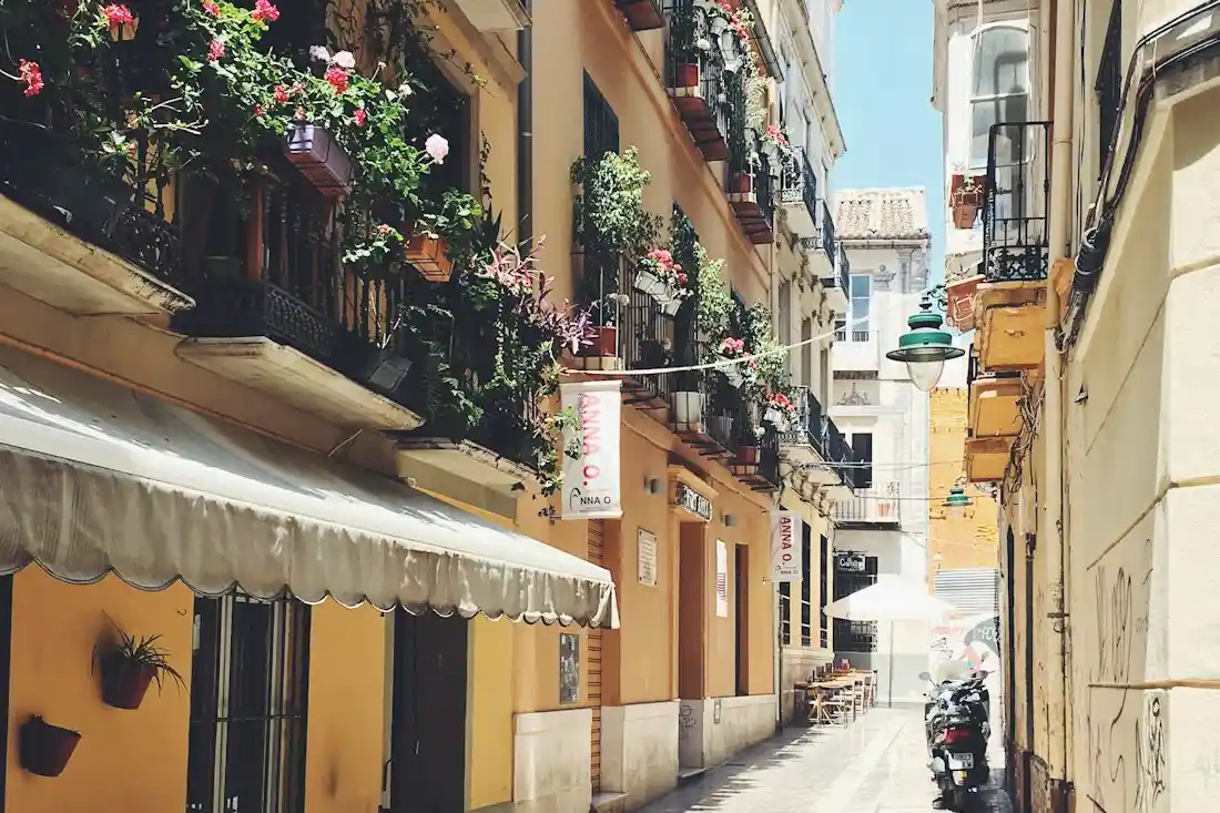 Ambiente local de Málaga y su actividad económica