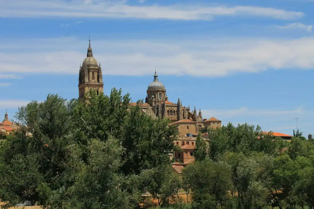 Ambiente local de Salamanca y su actividad económica