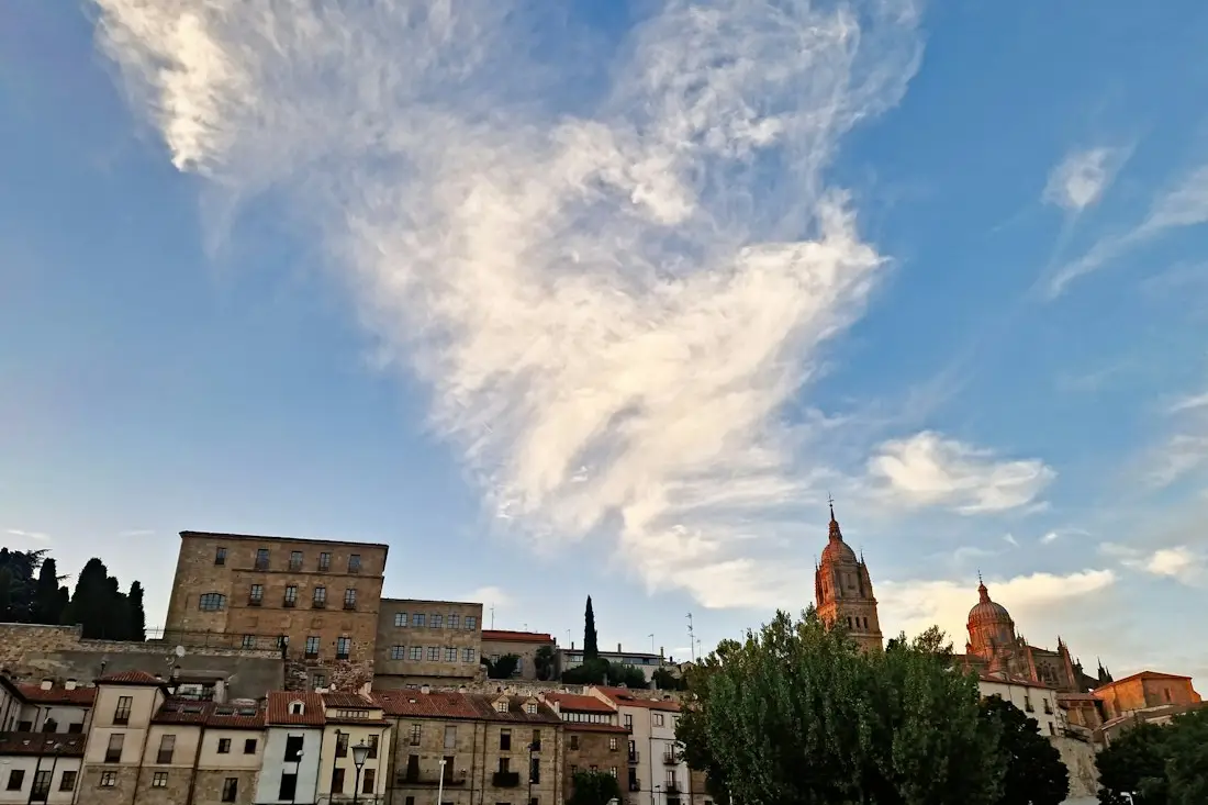 Calles y comercios de Salamanca donde trabajan pymes y autónomos