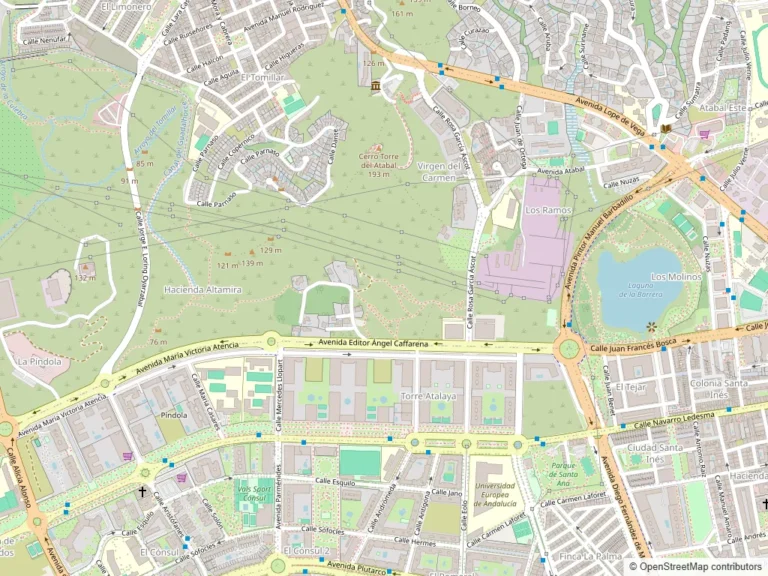 Mapa de Málaga con zonas de búsqueda